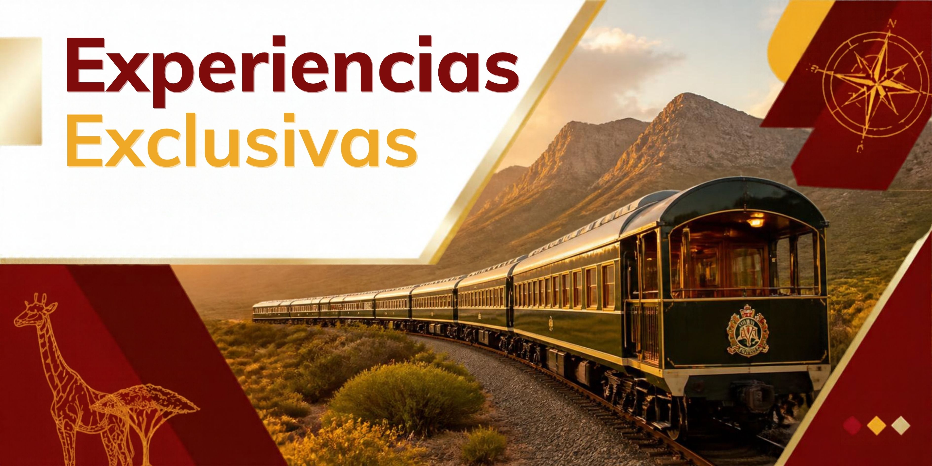 Experiencias
